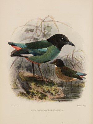 Lot 164 - Rowley (George Dawson). Ornithological Miscellany, 1st edition, 1875-8