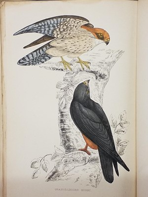Lot 725 - Natural History. A collection of mostly early 20th century & modern natural history reference