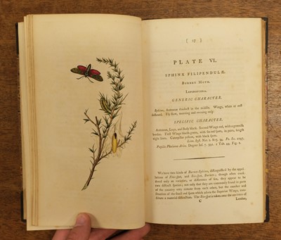 Lot 138 - Grieve (Symington). The Greak Auk, 1st edition, 1885, & 7 others