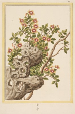 Lot 79 - Buc'hoz (Pierre Joseph, 1731-1807). Six hand-coloured engravings