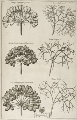 Lot 108 - Morison (Robert). Plantarum Umbelliferarum, 1672