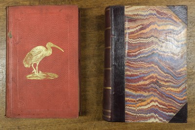 Lot 144 - Ibis. An extensive run, 87 volumes, 1861-1958
