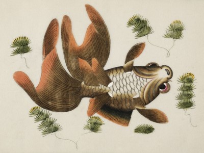 Lot 480 - Chinese pith paintings. An album of twelve paintings of fish, circa 1850