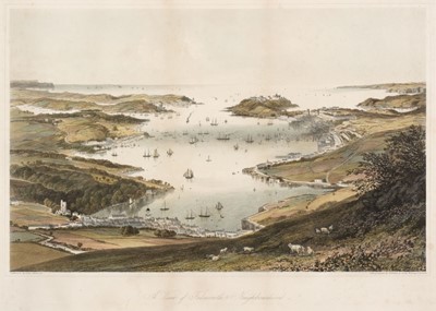 Lot 201 - Falmouth. Newman & Co., (lithographers), A View of Falmouth & Neighbourhood, circa 1850