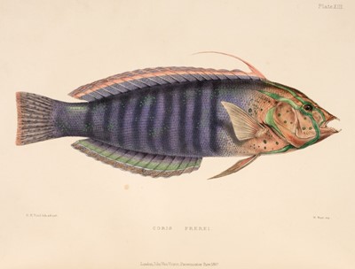 Lot 108 - Playfair (R. Lambert & Gunther, Albert C.L.G.). The Fishes of Zanzibar, 1st edition, 1866