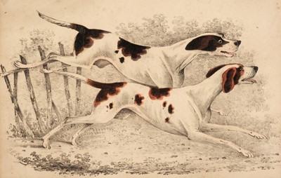 Lot 269 - Dogs. A mixed collection of approximately 400 prints & engravings, mostly 19th century