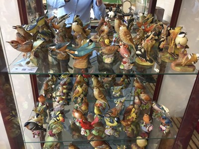 Lot 186 - Royal Worcester. A large collection of birds