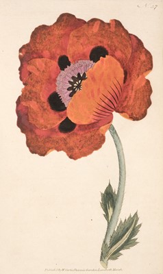 Lot 149 - Curtis (William). The Botanical Magazine; ... , vols. 1-24 bound in 12, Stephen Couchman, 1793-1806