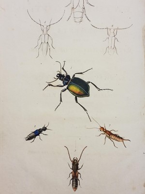Lot 431 - Natural History. A collection of mostly 19th century natural history & horticultual reference