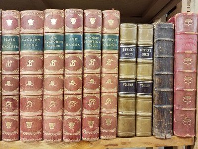 Lot 431 - Natural History. A collection of mostly 19th century natural history & horticultual reference