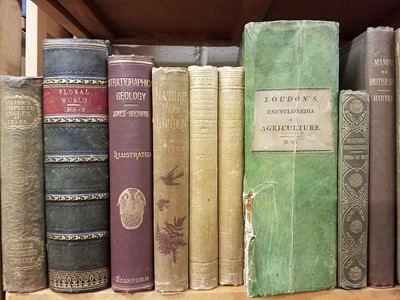 Lot 431 - Natural History. A collection of mostly 19th century natural history & horticultual reference