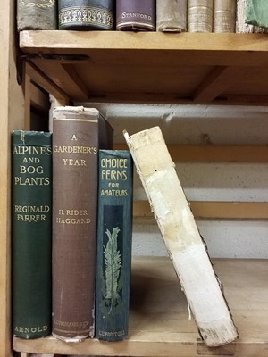 Lot 431 - Natural History. A collection of mostly 19th century natural history & horticultual reference