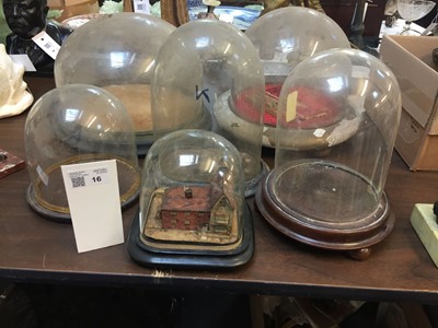 Lot 16 - Glass Domes. A collection of Victorian glass domes