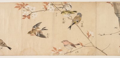 Lot 416 - Chinese School. A hand-painted scroll of birds with flowers and foliage