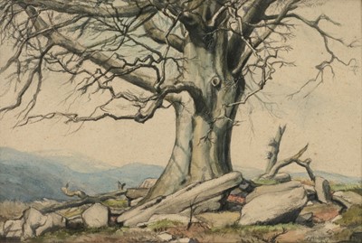 Lot 609 - Hurd (Margaret, 20th Century). Beech tree in winter atop moorland