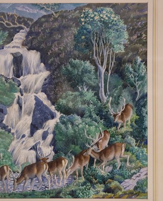 Lot 622 - Tunnicliffe (Charles Frederick, 1901-1979). Red deer watering at the foot of a waterfall