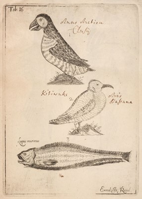 Lot 93 - Sibbald (Robert). Scotia illustrata sive prodromus historiae naturalis, 1st edition, 1684