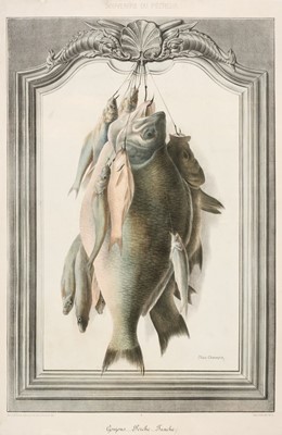 Lot 510 - Natural History & Sporting. A collection of fourteen prints, 19th century