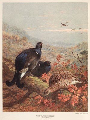 Lot 113 - Millais (John Guille). The Natural History of British Game Birds, 1909
