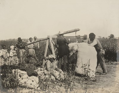 Lot 408 - USA Agriculture. A group of 4 platinum prints of cotton picking in Arkansas, c. 1905