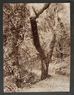 Lot 377 - Penn (Albert Thomas Watson, 1849-1924). An album of photographs of Ootacamund and the Nilgiri Hills