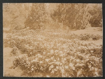 Lot 377 - Penn (Albert Thomas Watson, 1849-1924). An album of photographs of Ootacamund and the Nilgiri Hills