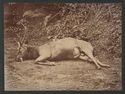 Lot 377 - Penn (Albert Thomas Watson, 1849-1924). An album of photographs of Ootacamund and the Nilgiri Hills