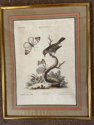 Lot 128 - Gould (J. & Richter H. C.). Three lithographs of Birds, 1862 - 73