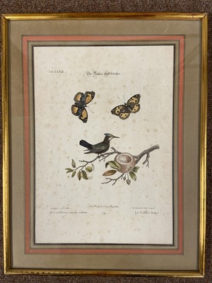 Lot 128 - Gould (J. & Richter H. C.). Three lithographs of Birds, 1862 - 73