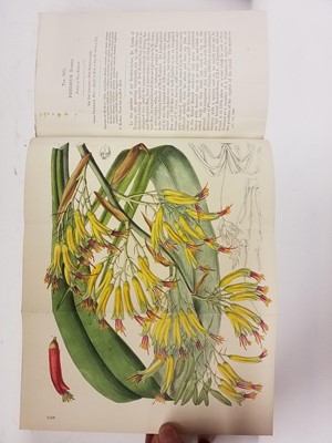 Lot 98 - Curtis (William). Curtis's Botanical Magazine, volumes 43, 44, 45 & 46 (of 3rd series), 1887-90