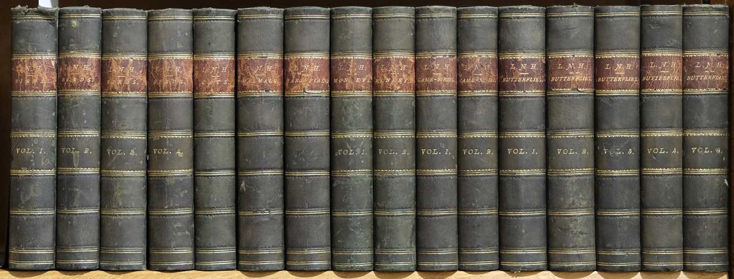 Lot 110 - Lloyd (Edward, publisher). Lloyd's Natural History, edited by R. Bowdler Sharpe, 16 volumes, 1896-97