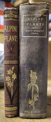 Lot 57 - Wooster (David). Alpine Plants, 1872