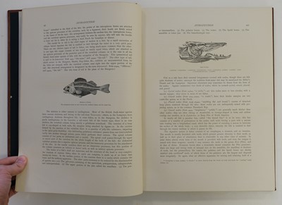 Lot 105 - Houghton (William). British Fresh-Water Fishes, 2 vols., 1st edition, [1879]