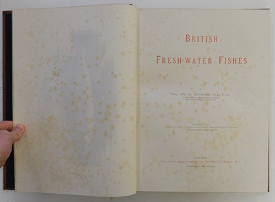 Lot 105 - Houghton (William). British Fresh-Water Fishes, 2 vols., 1st edition, [1879]