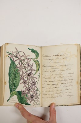 Lot 97 - Botany. Two volumes containing 137 British botanical watercolour studies, late 18th/early 19th c.