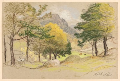 Lot 486 - Linnell (James Thomas, 1820-1905). A collection of landscape studies