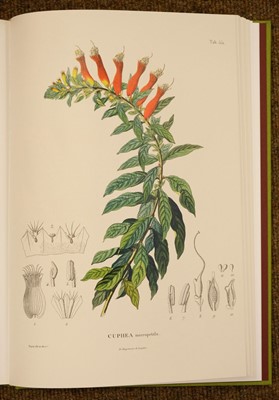 Lot 122 - Peregrine Press. The Meyers' Illustrations of British Birds, 2007, one of 40 deluxe copies, & others