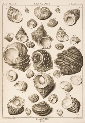 Lot 102 - Dezallier d'Argenville (A. J.). La Conchyliologie, contemporary manuscript abridgment, c.1780