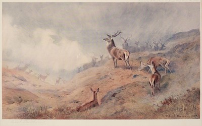 Lot 154 - Thorburn (Archibald, 1860 - 1935). Set of 6 prints of Red Deer, A. Baird Carter, 1907