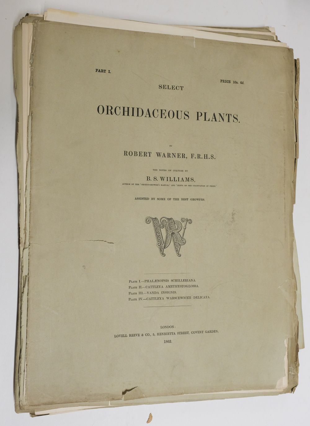 Robert Warner SELECT ORCHIDACEOUS PLANTS