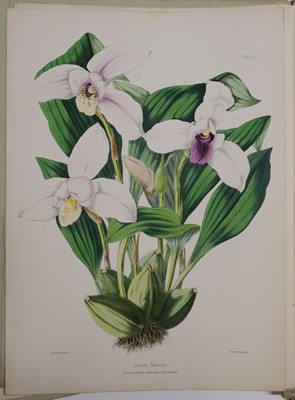 Lot 128 - Warner (Robert). Select Orchidaceous Plants. First Series, 1862-5, in original parts