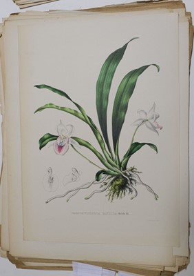 Lot 109 - Linden (Jean-Jules). Pescatorea. Iconographie des orchides, 1st edition, 1854-5