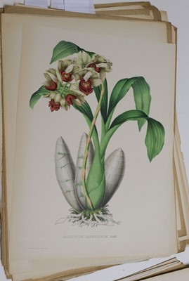 Lot 109 - Linden (Jean-Jules). Pescatorea. Iconographie des orchides, 1st edition, 1854-5