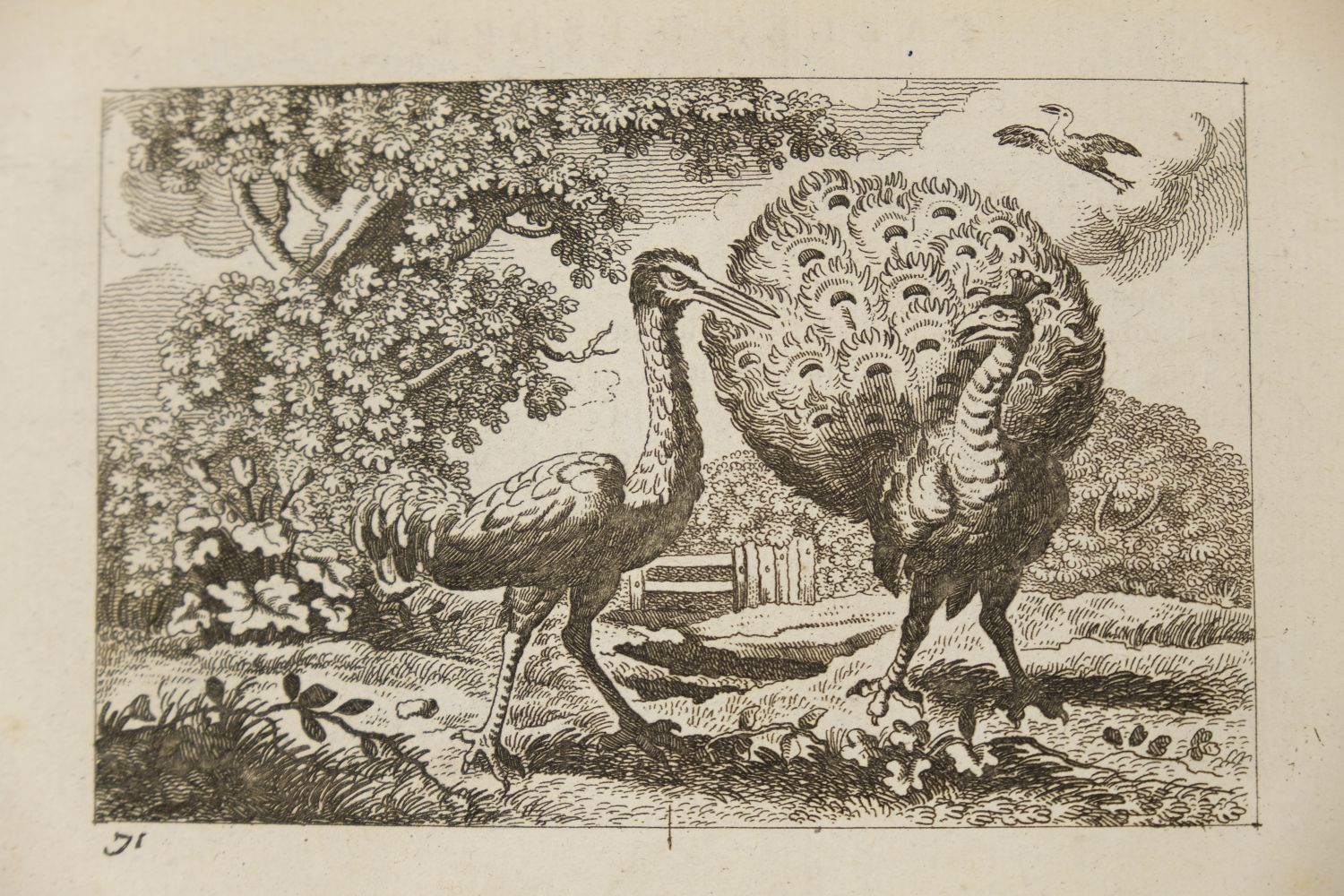 Lot 446 - Barlow (Francis). Les Fables d'Esope