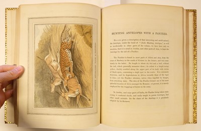 Lot 85 - Williamson (Thomas). Foreign Field Sports, Fisheries, Sporting Anecdotes, &c., 1st edition, 1814