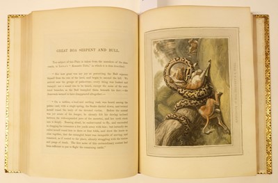 Lot 85 - Williamson (Thomas). Foreign Field Sports, Fisheries, Sporting Anecdotes, &c., 1st edition, 1814