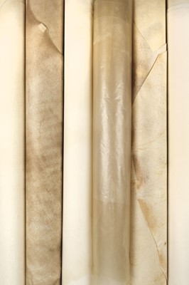 Lot 505 - Vellum. A selection of full and large part skins of natural vellum