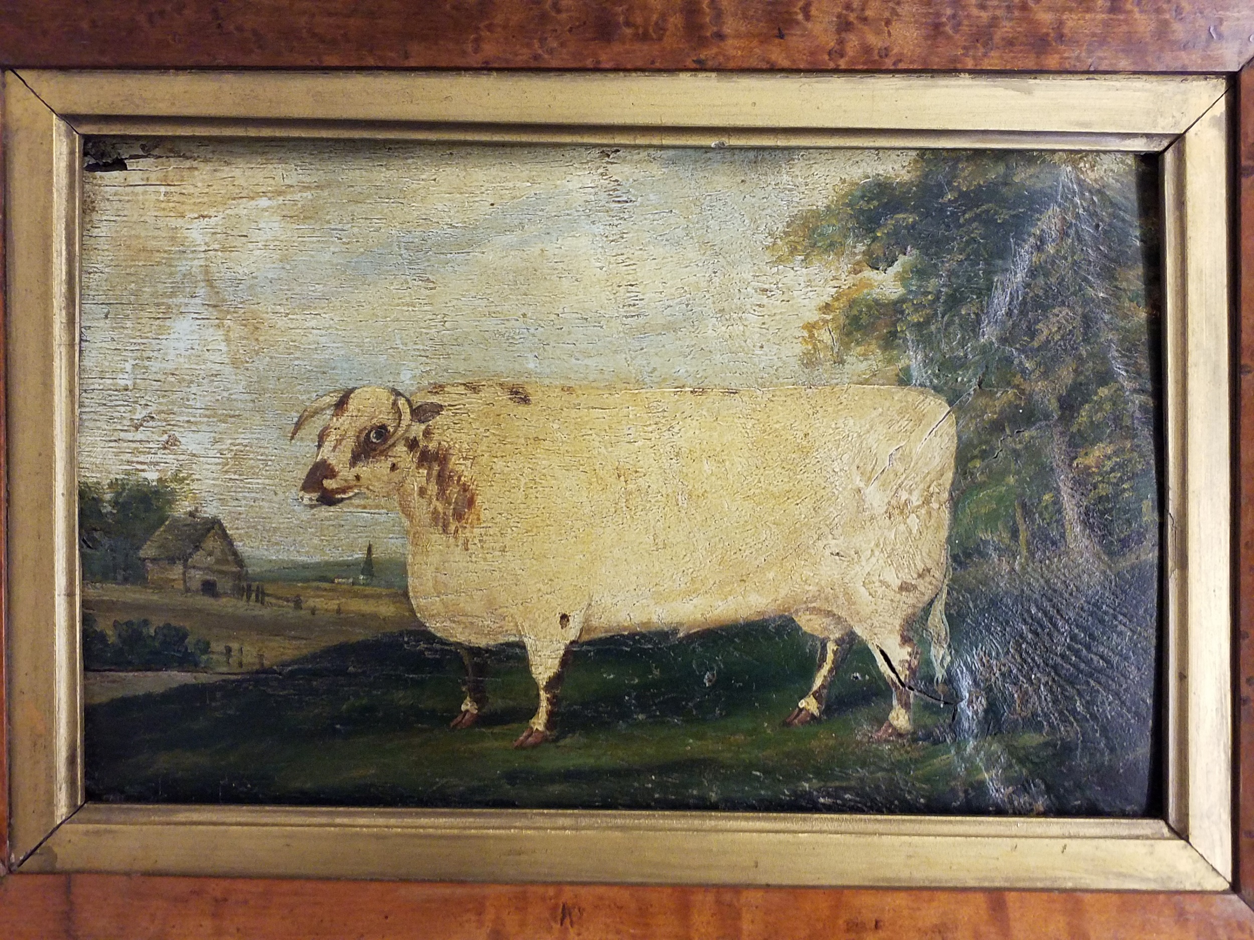 Lot 447 - Naive School. English Shorthorn, circa