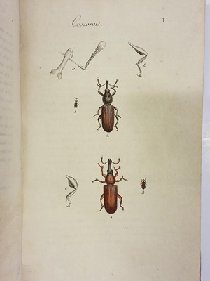 Lot 47 - Clairville (Joseph Philippe de). Entomologie Helvétique, 1st edition, 1798