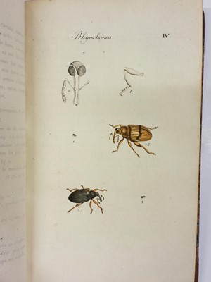 Lot 47 - Clairville (Joseph Philippe de). Entomologie Helvétique, 1st edition, 1798